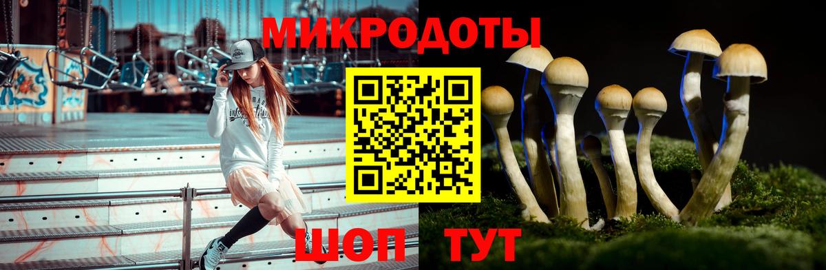Зеленодольск  Псилоцибиновые грибы ЛСД  закладка  Вход с VPN 